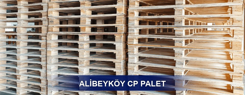 Alibeyköy Standart Tipler