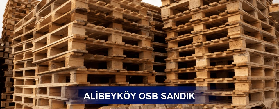 Alibeyköy Ölçü Planı